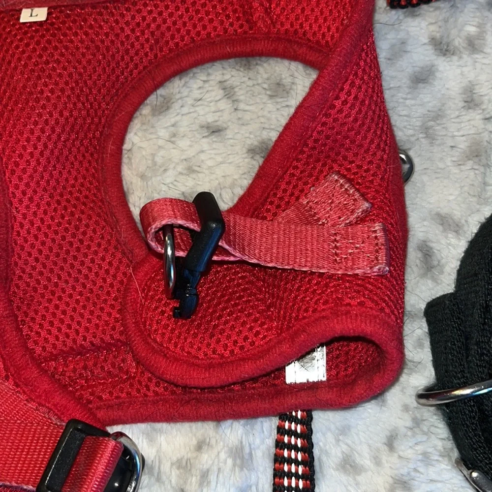 5/$20 Dog Harness, Leash Size S/M